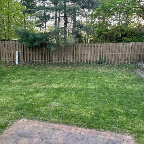 Mowing