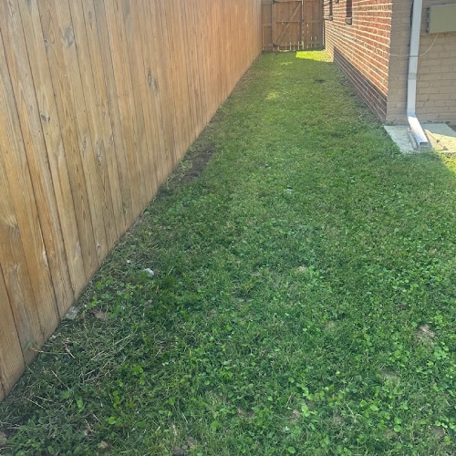 Weed Control